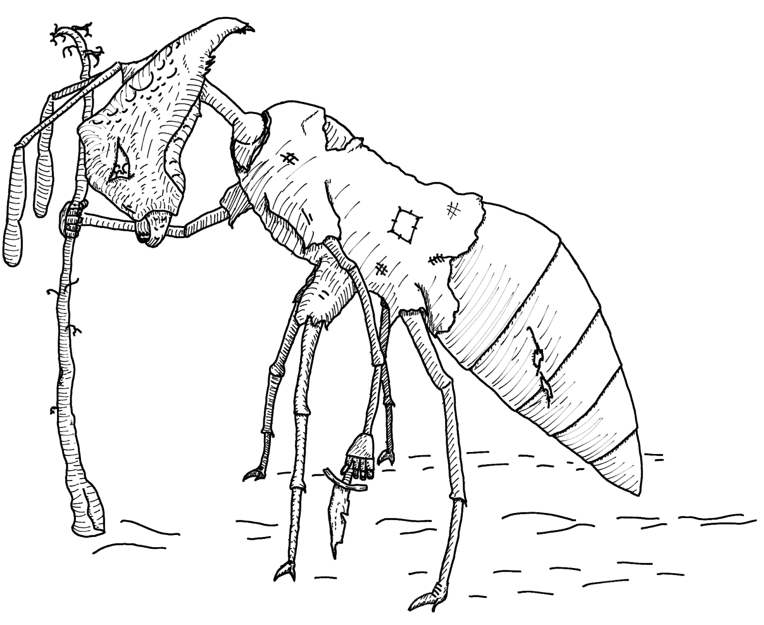 The Ants Go Marching